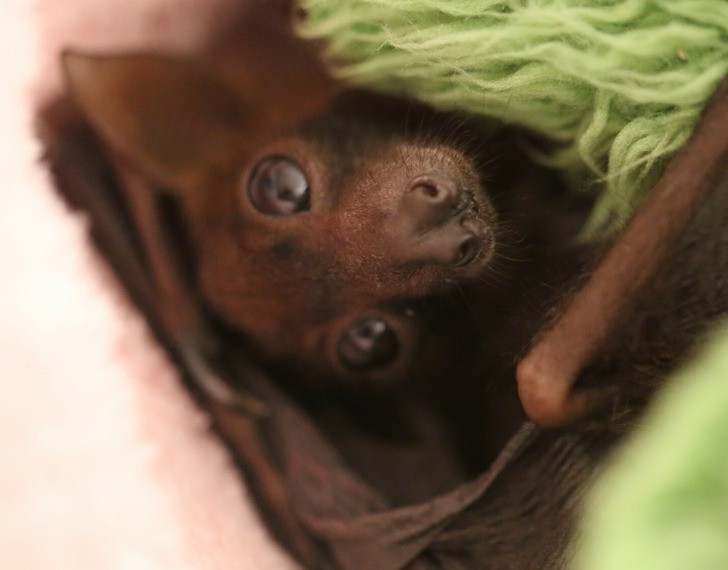 892104525d921d813763cd0090