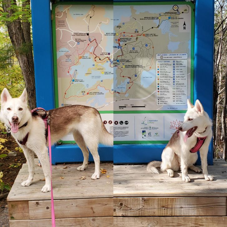 8927bd5606bb97aceb59f9010c