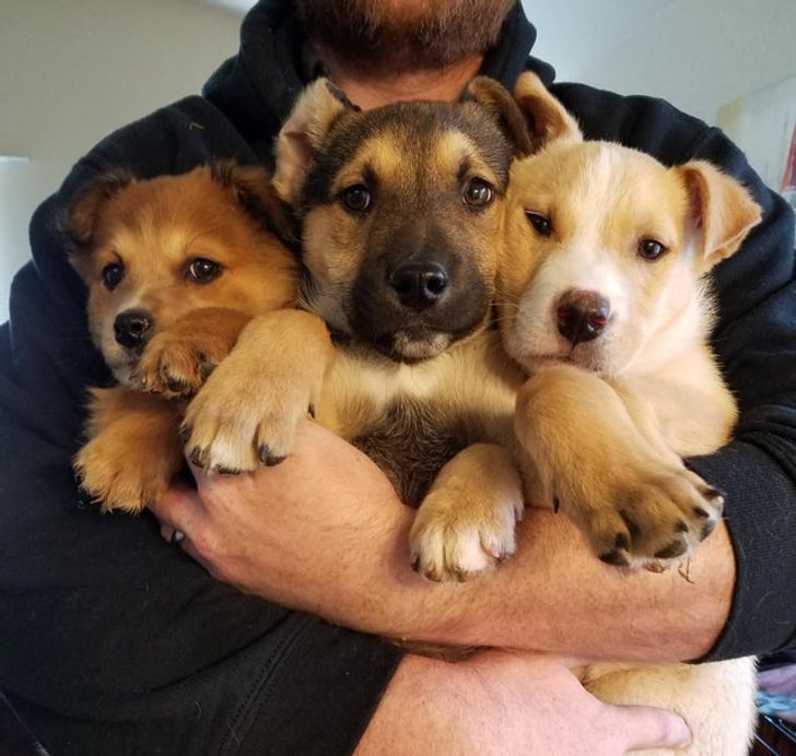 89376b5d9cbd805b2d8b14aeee