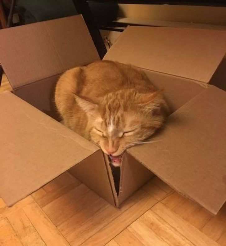 8939e659e1b8ab972dd09dde72