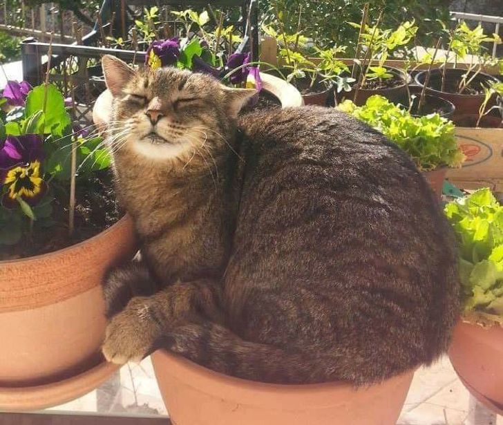 89442f55458f3b4ac785d89134