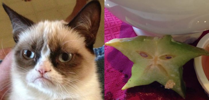 8948155a43b208dc8be77539a5