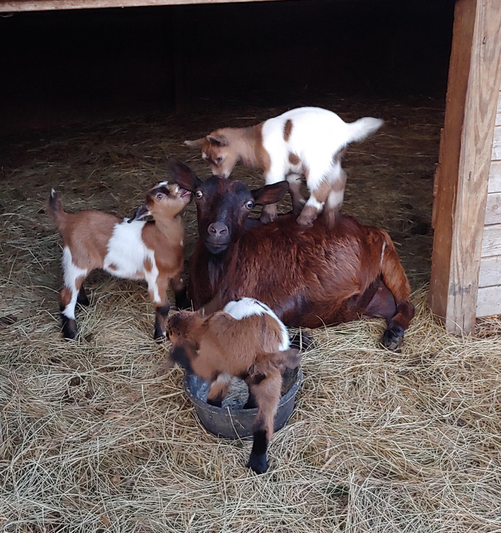 8948c051b3bdb6eee058a7dcb3 8948c051b3bdb6eee058a7dcb3