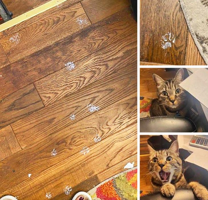 894ad157019dfefbd8e55bdfaa