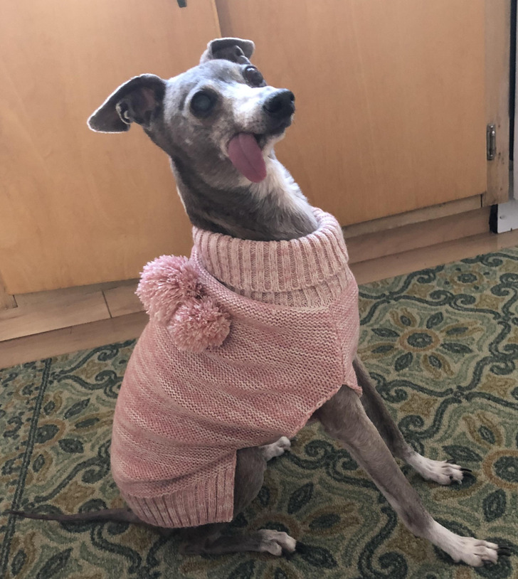 8955f3554cbb1c7debb3f20978 8955f3554cbb1c7debb3f20978