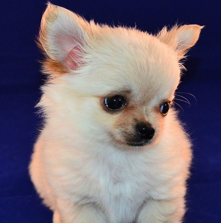 8959555480a5b149eced2c8d02