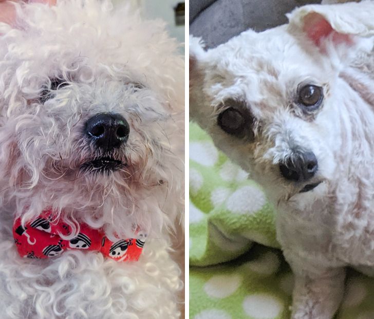 895b9e5e2e8548d6091f113569