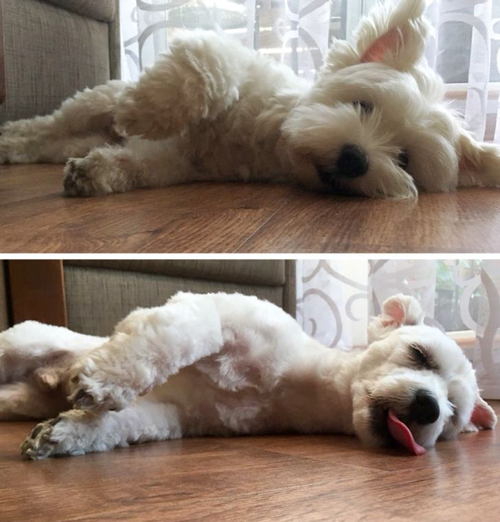 895cc9504db64bdf6eaa5c6186