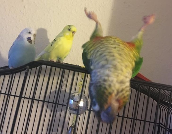 895d5c5024b594c49f44e20430