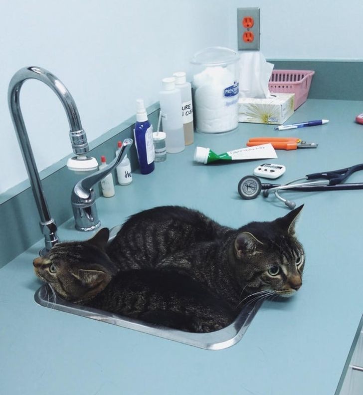 89623352f4873c853a495a8ee2