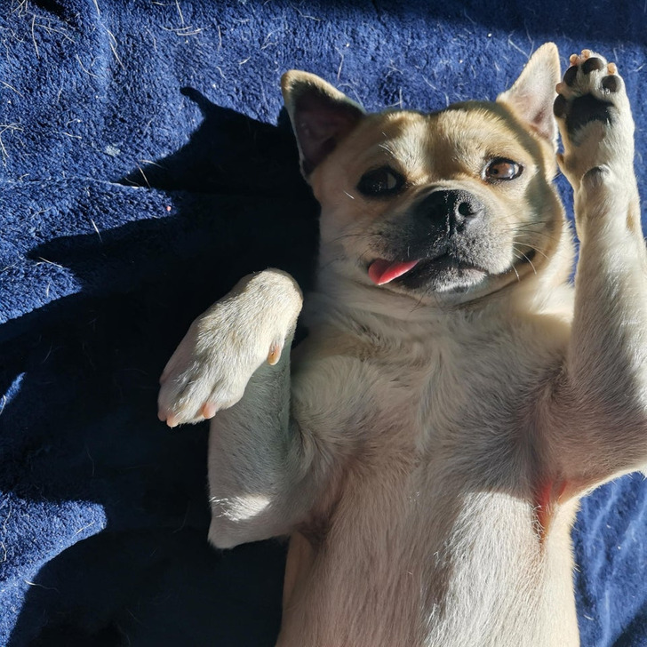 89652d563ba98d85512f6f61d5