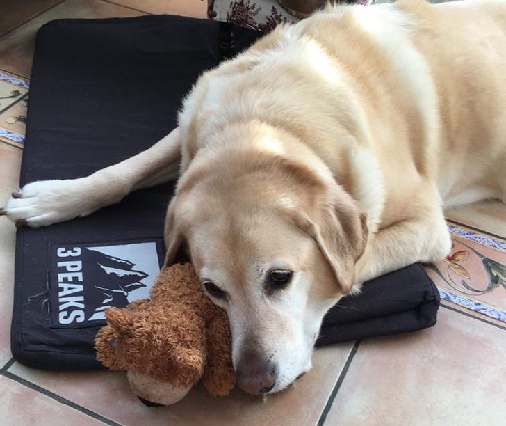 8969d652a489d3632cee240257