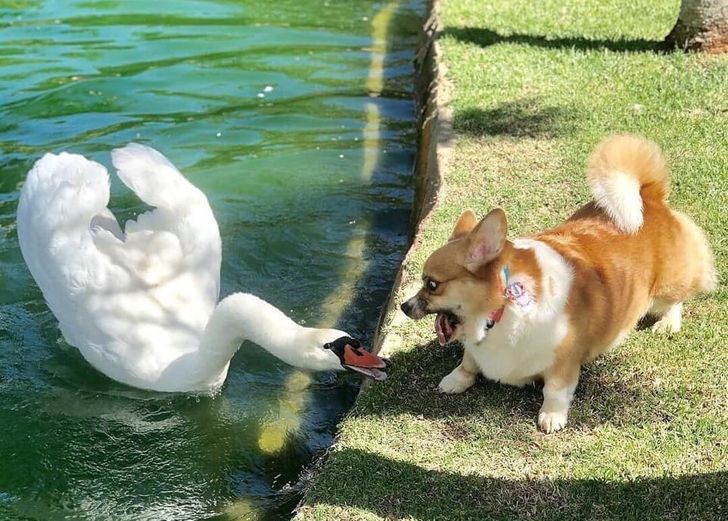 8970715542aaa2372f13397eee