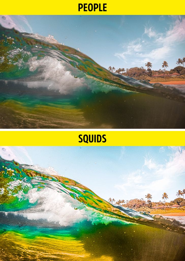 89722c56419608f60b9283fd1f