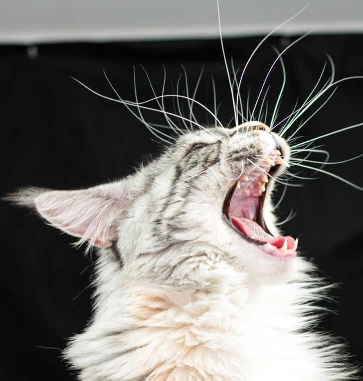 8974415b7d8c769ae25849123f