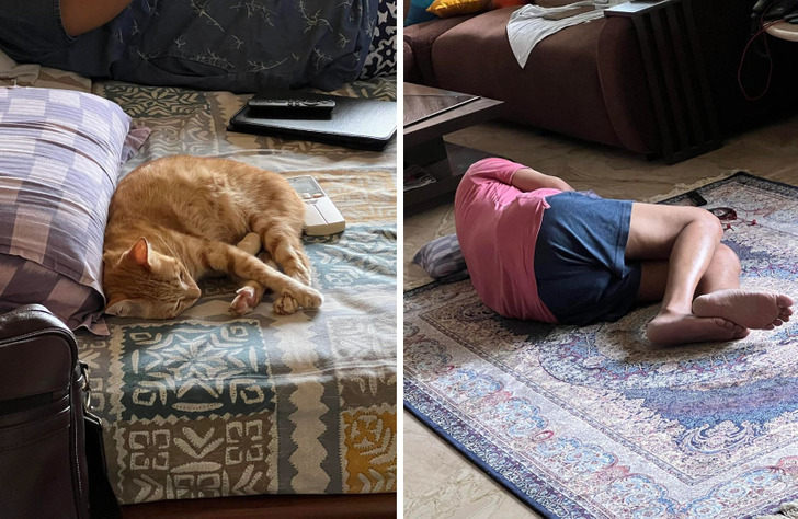 8979015de996d53efc528ceb67 8979015de996d53efc528ceb67