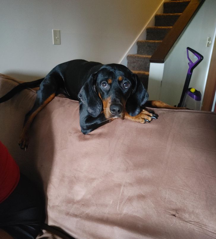 897a12553e9d1527333e087115 897a12553e9d1527333e087115