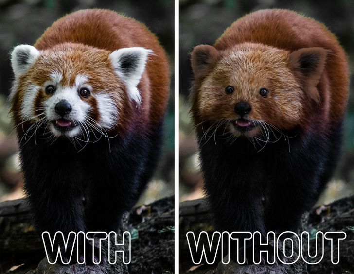 8988e65dc2b3ac4ff2099e493b