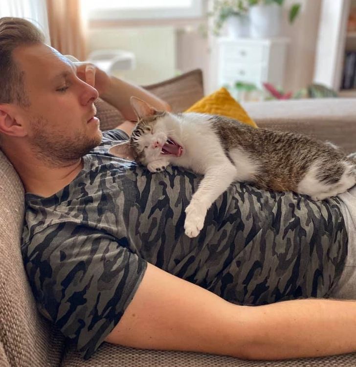 898c125403b04d84628147b82a