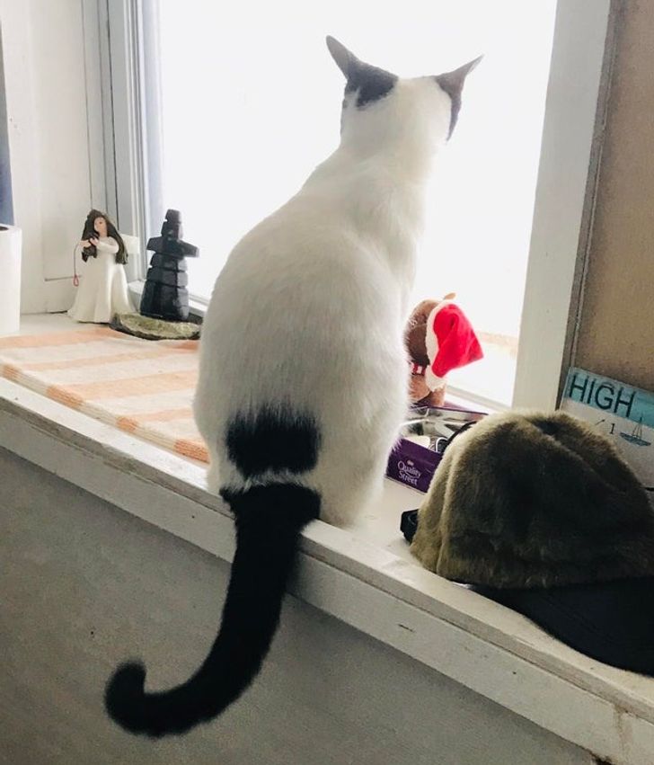 8994f254aea7d42be16a025c31