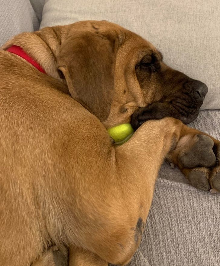 8998eb5a9dbd2c0802a3a9e7ab