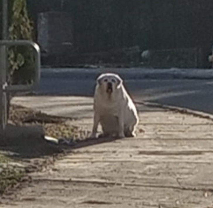 899a0b5ba293ff11da08a709e4 899a0b5ba293ff11da08a709e4