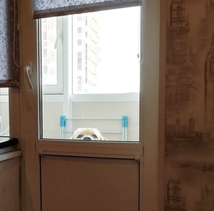 899bff5a2f986386e82094c6b6