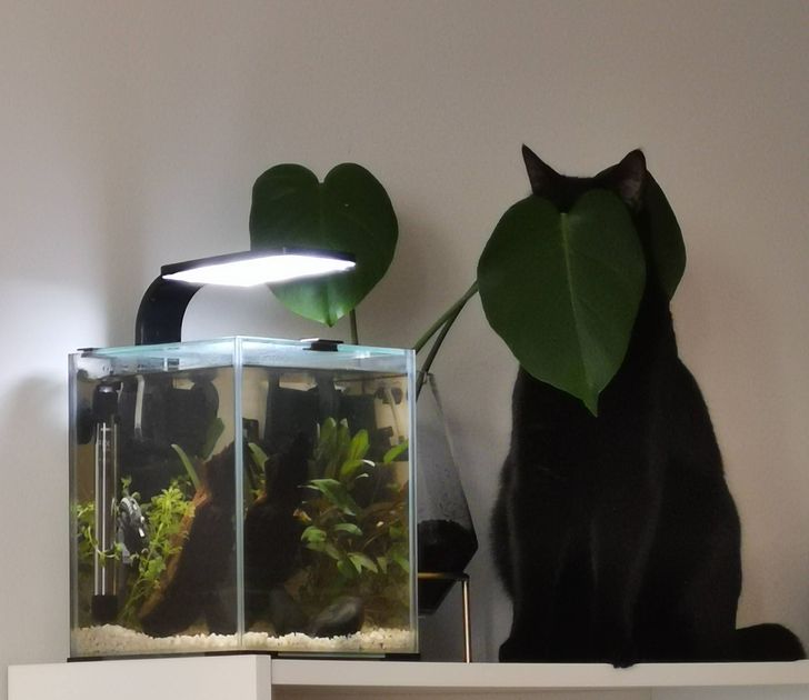 89a58b54bab965206a769e8c24