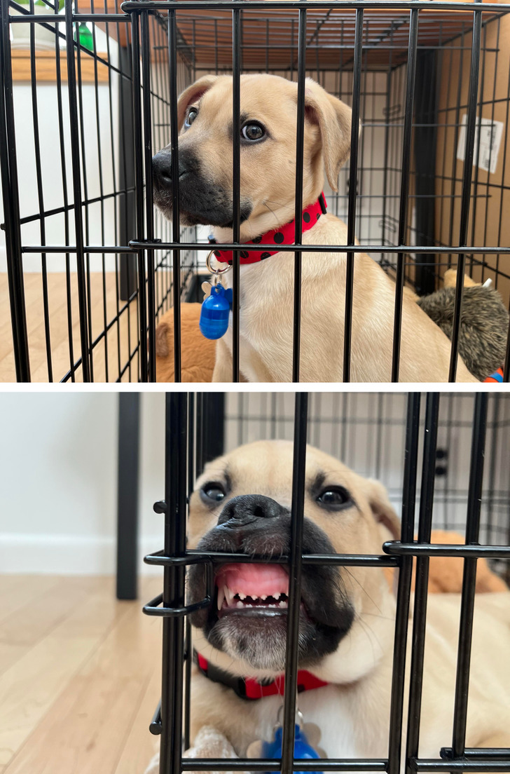 89aef459de936c1e568324eb48