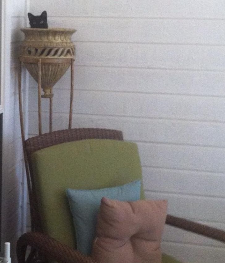 89b8aa59ea9ffccf93fb4ec0da