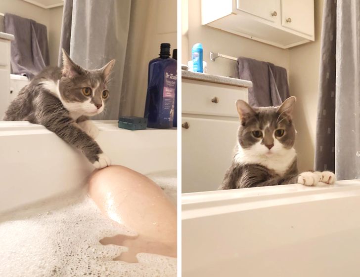 89bf805abebae021e2e506b5d2