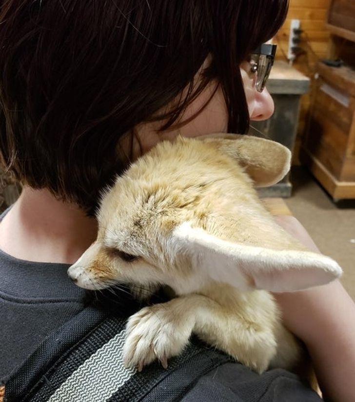 89c5bd57bda3bdc8be0d59d390