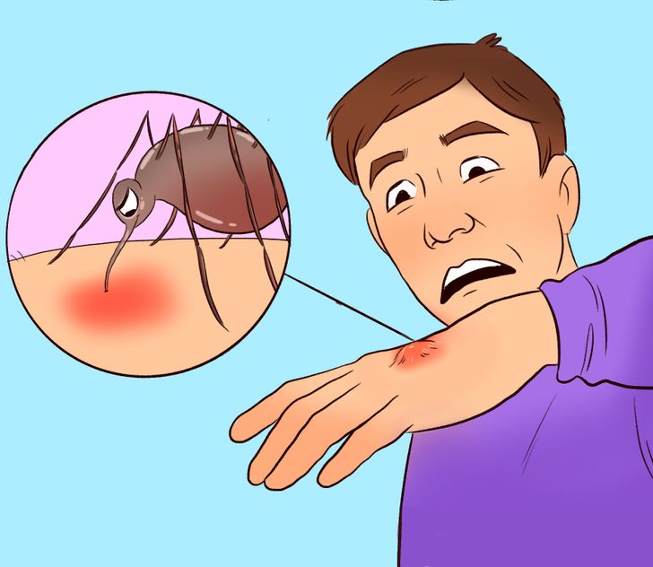 89c6935b699444c066cda665ac