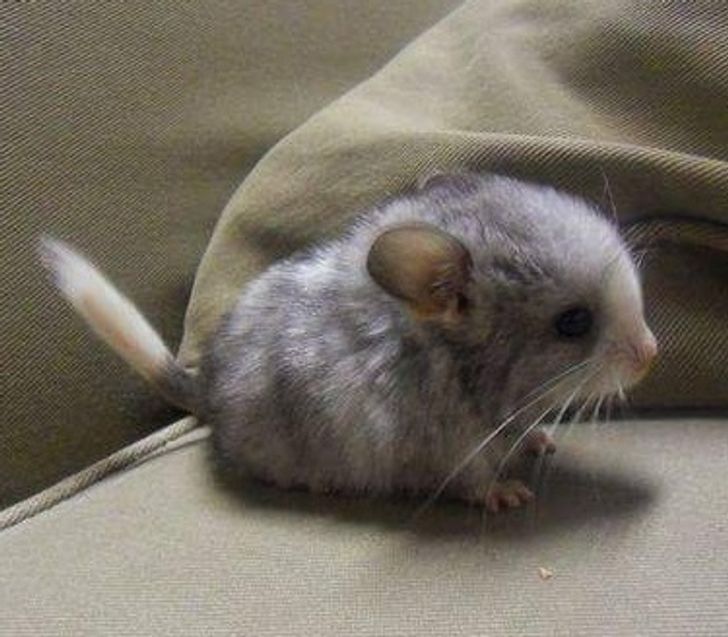 89c7dd548ba69c3acb7d1a322f