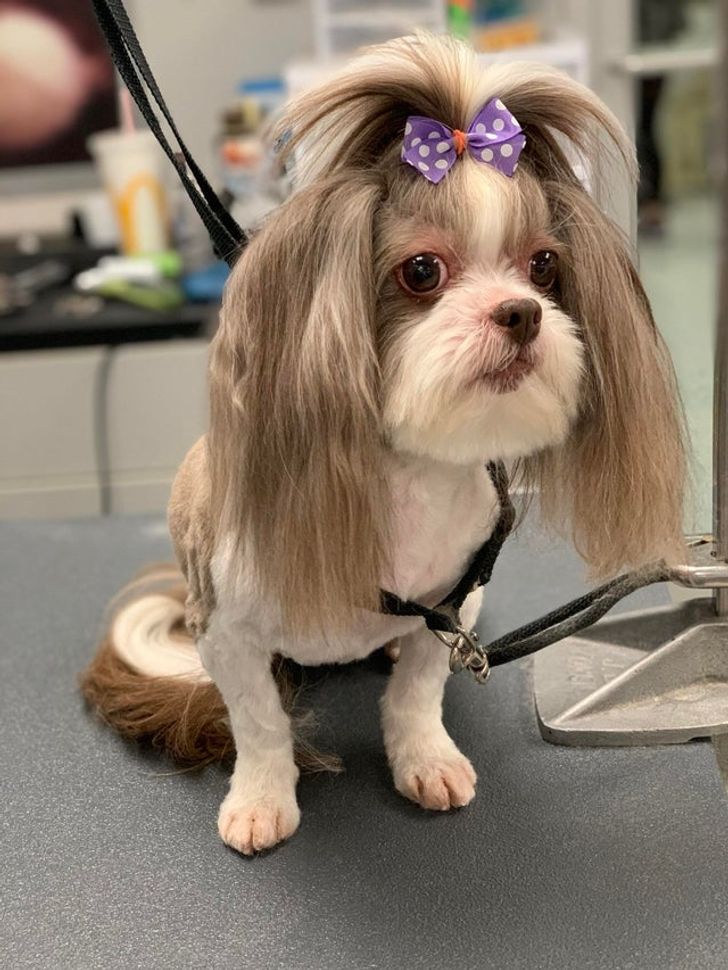 89cf4d5bea8c472b3ab5048a14