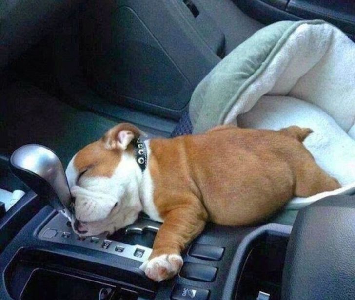 89cff6559d9491fbe6391ae52e