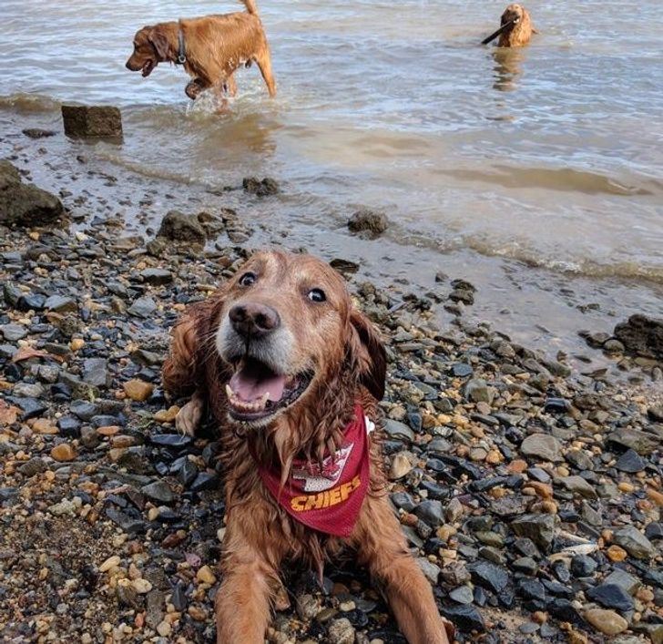 89da0752bf9a2478c0b3d16e49