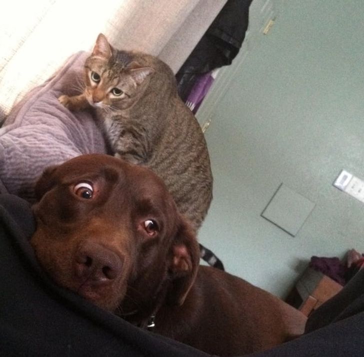 89db415ebf8d85dea0305c42c8