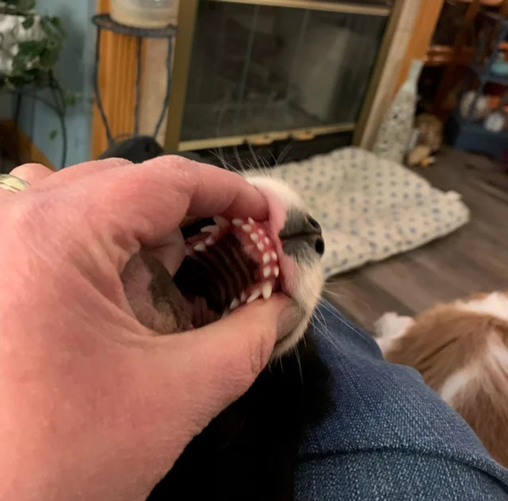 89dd1e5e18b107ed8620aafef9