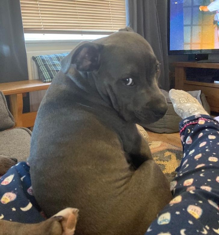 89e5d3539a81514560bf042a2e