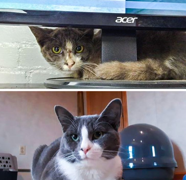 89f77a59d28b033898662e45ea