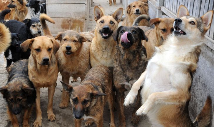 89fec45b308702455f6d9bca1d