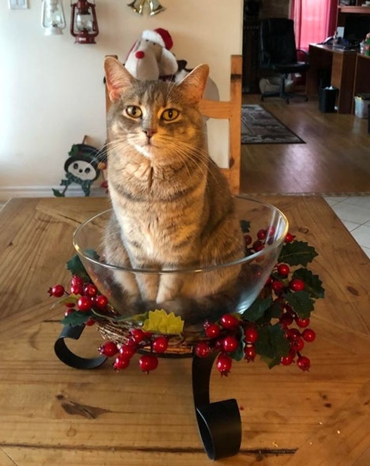 89ff845e48bacc2c4787d92284