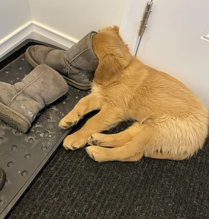 8a018c55b687dd0b3e73967661 8a018c55b687dd0b3e73967661