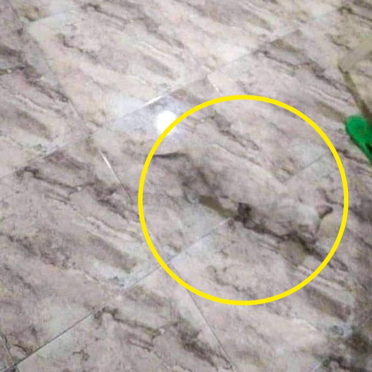 8a053b52c0b6b1957f5c8d9536