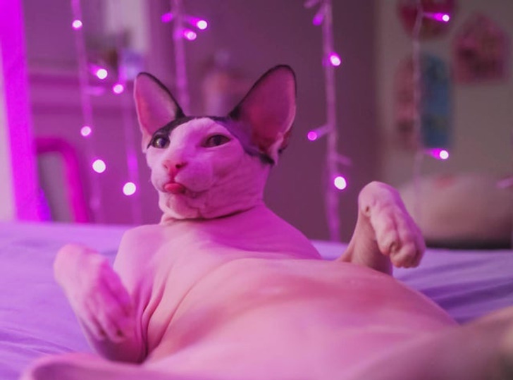 8a06975f65b2586cd76dd9b36a 8a06975f65b2586cd76dd9b36a