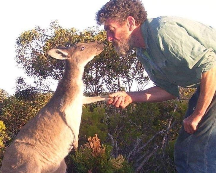 8a09a95517876d1eea6224ed2d