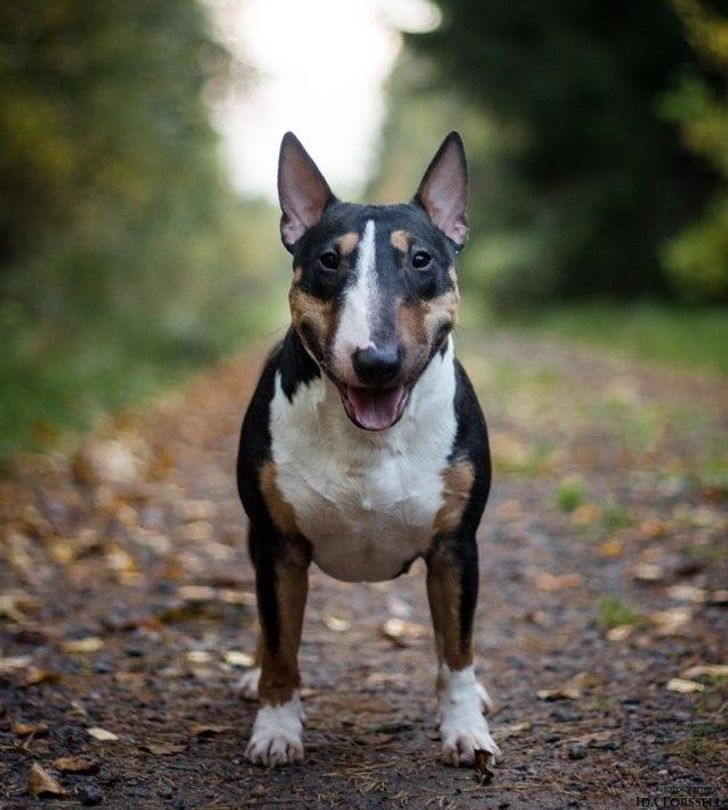 8a0f3d52a3a62cc455c95abb99