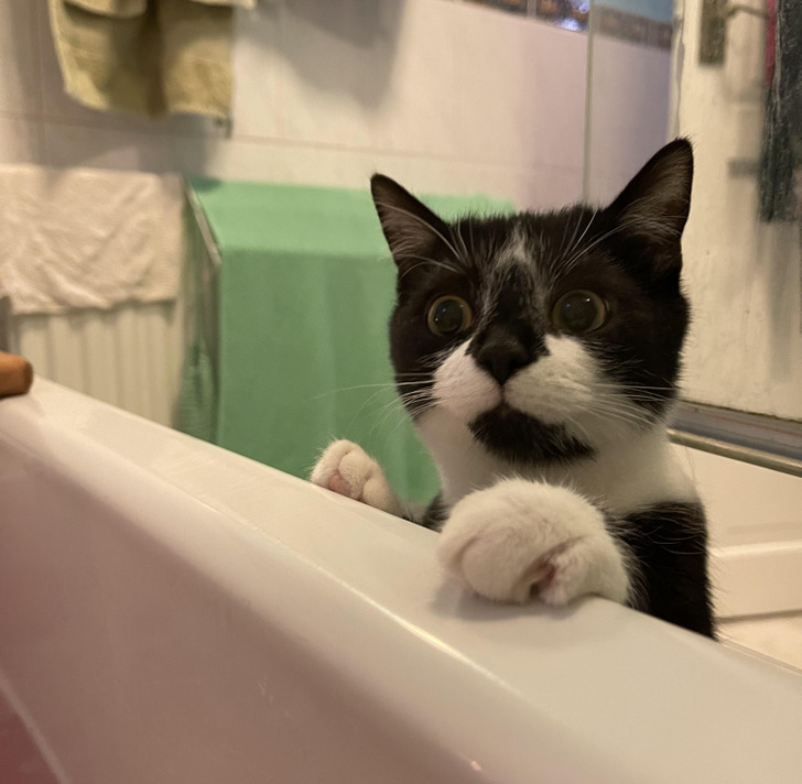 8a11d350ffa02324bc7a42f847 8a11d350ffa02324bc7a42f847