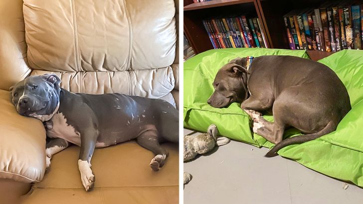 8a155c5cc3ad2a5262b3a236be